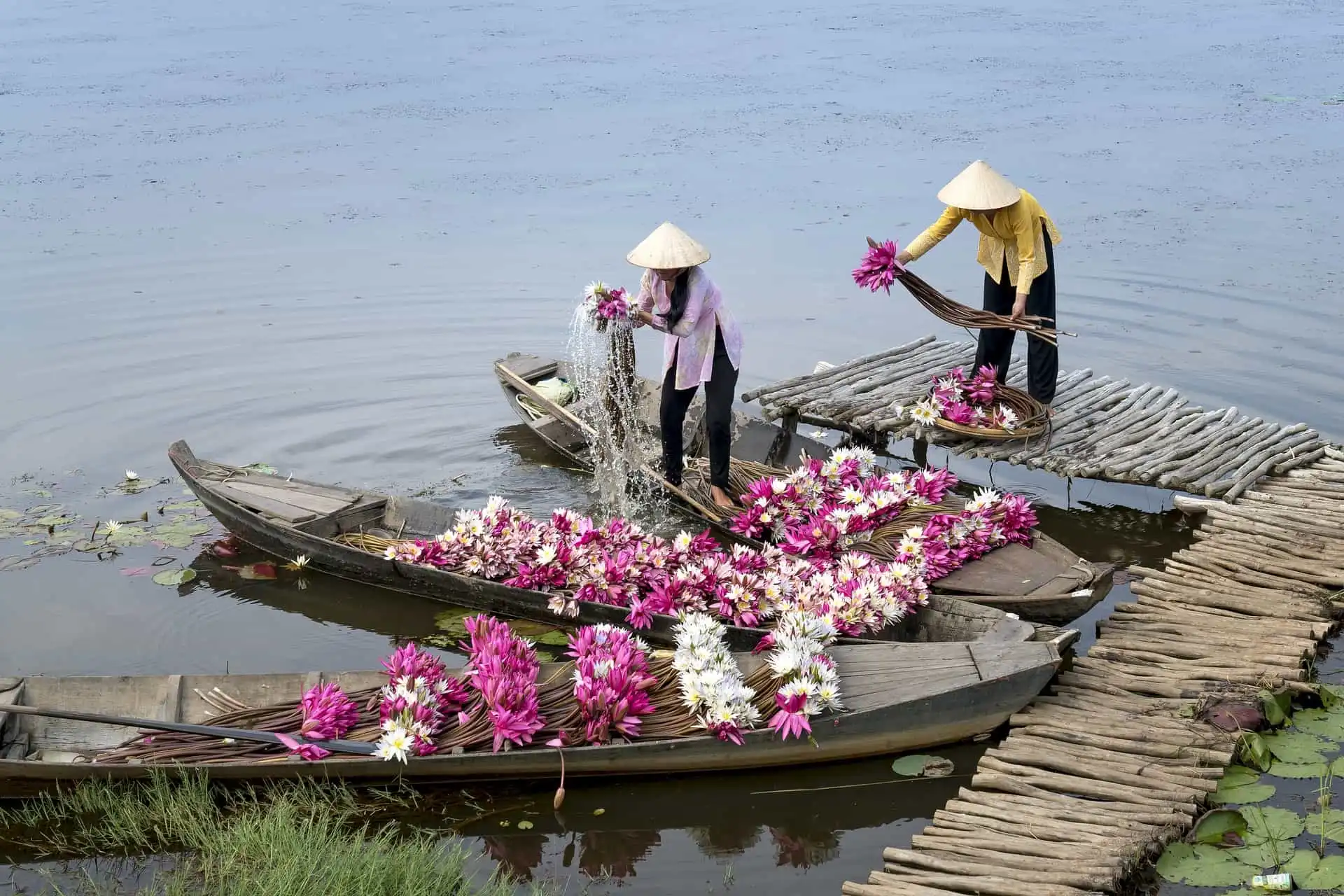 A Taste Of Vietnam