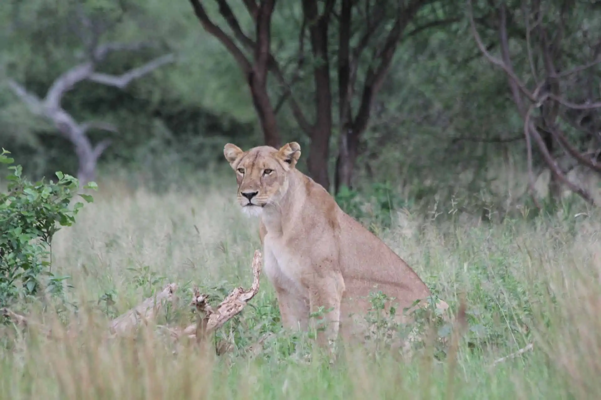 Day 2: Tarangire National Park