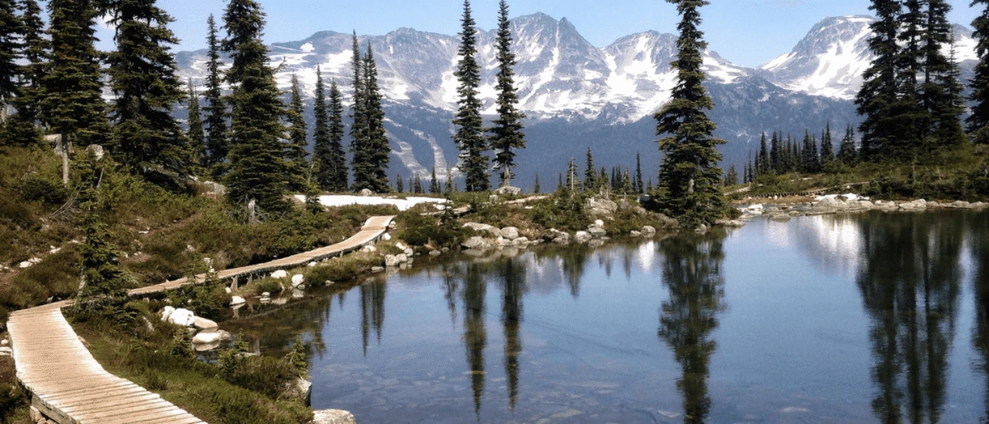 Whistler