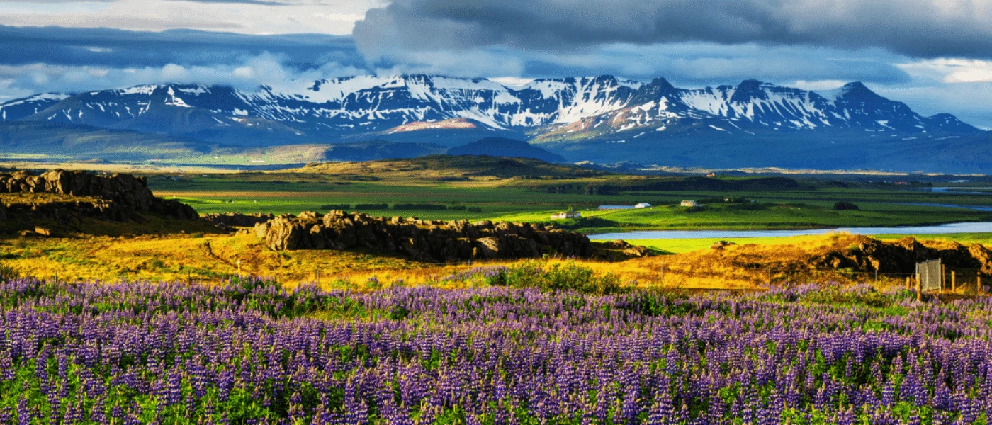 Gay Honeymoons in Iceland
