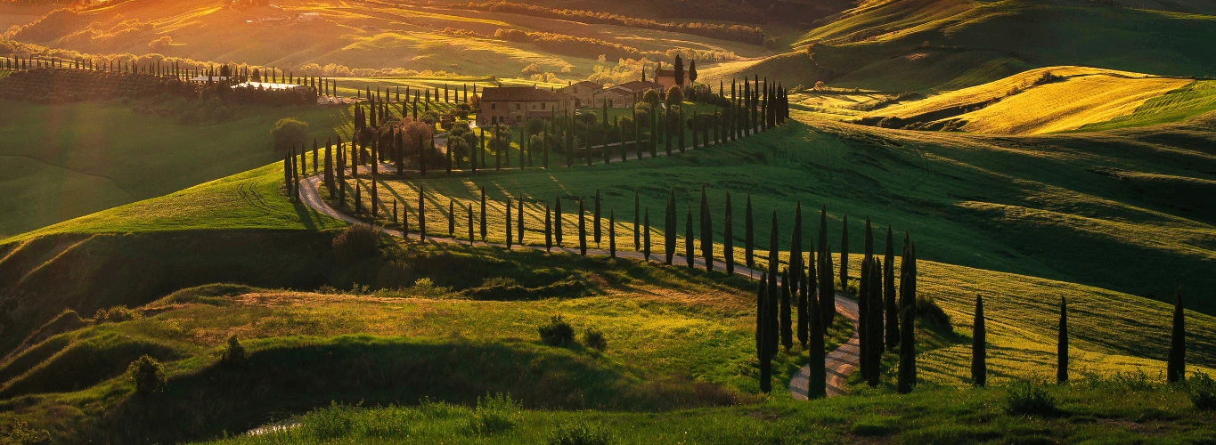 Florence and Tuscany Tour: Wine, Art & Medieval Towns