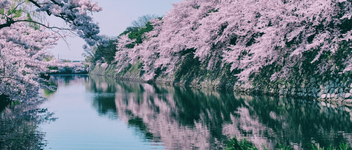 Gay Honeymoons in Japan