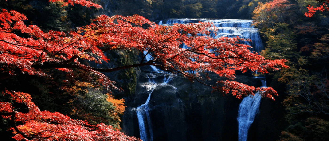 Travel Guides for Japan