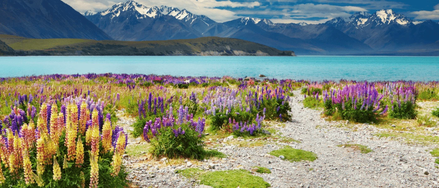 Luxury Gay Holidays in New Zealand