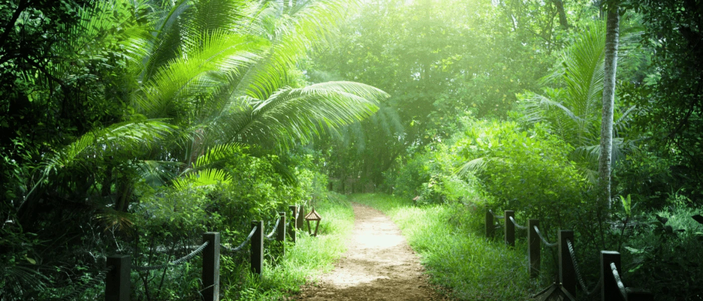 Verdant jungles