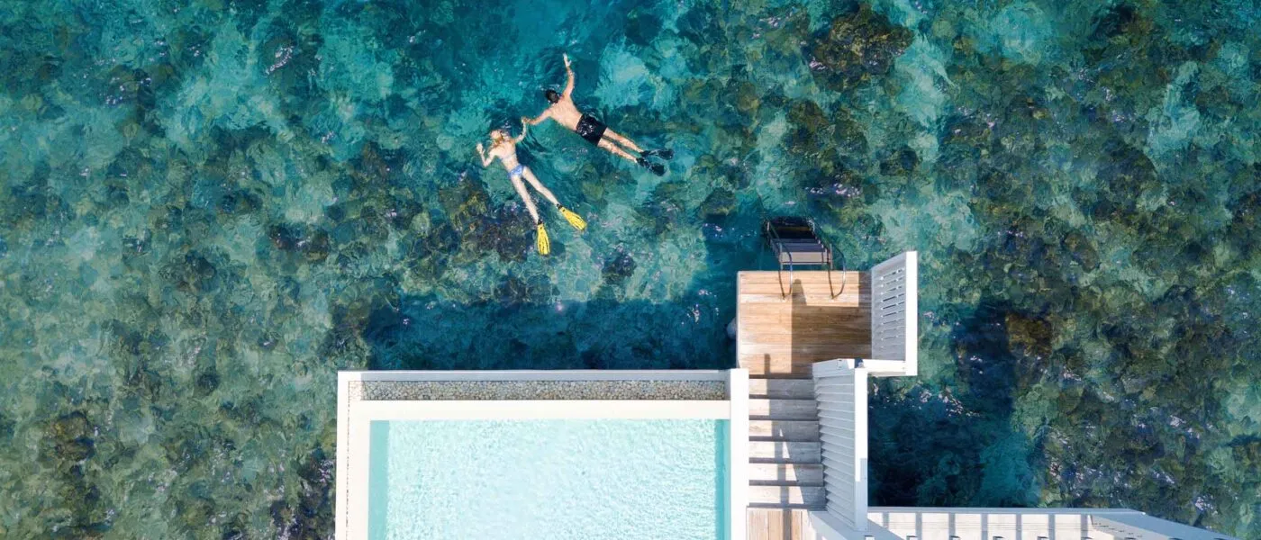 Reef Snorkeling