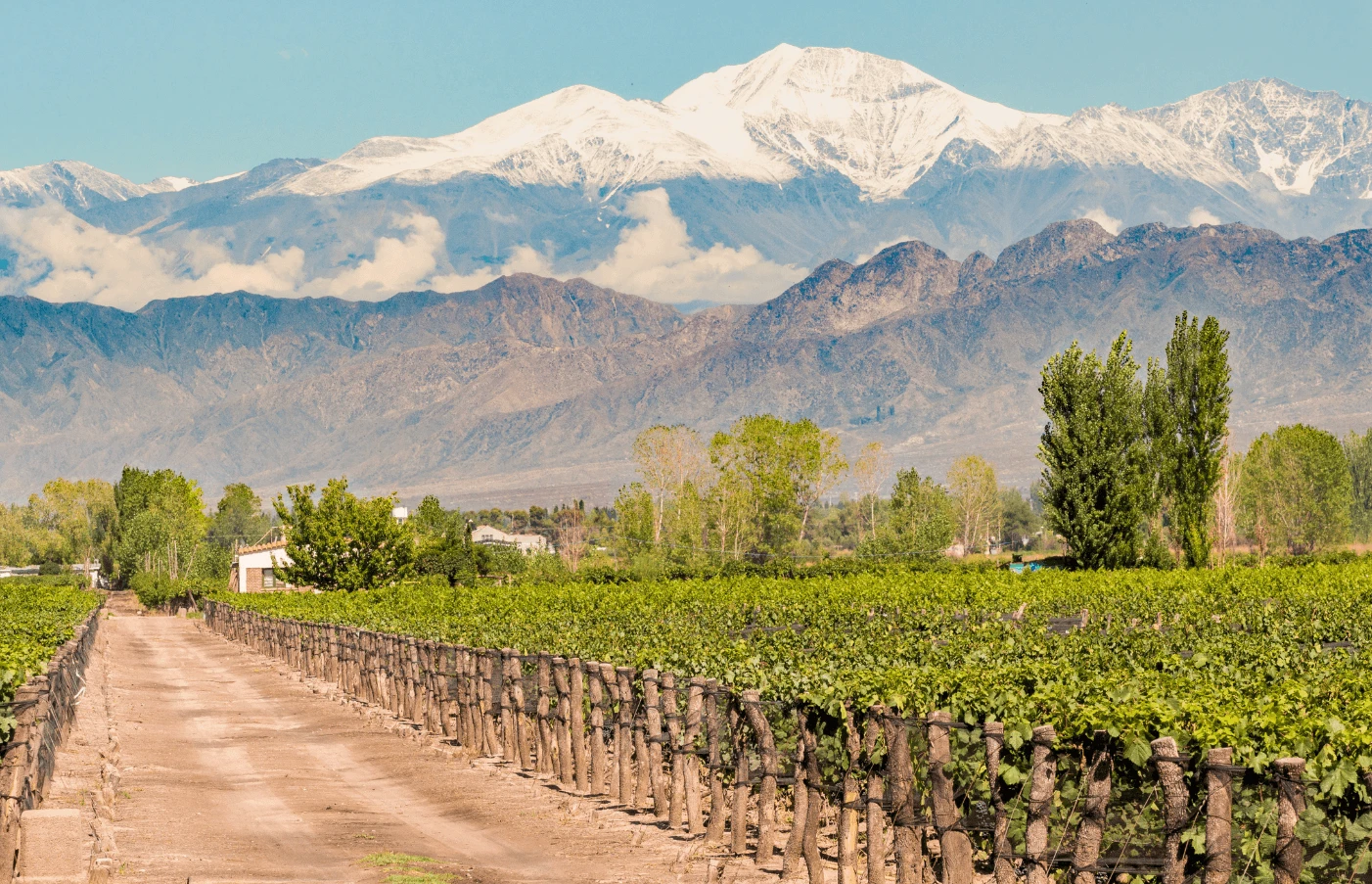 Day 8 - 10: Mendoza