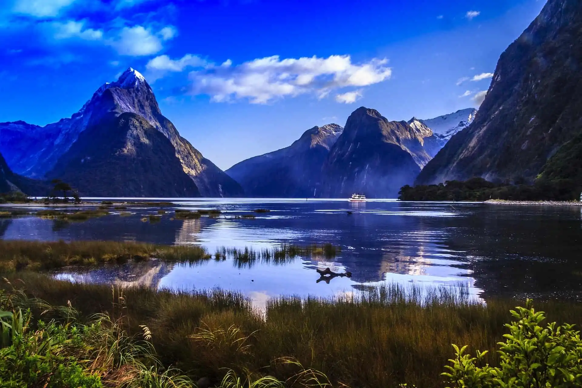 Day 9: Milford Sound