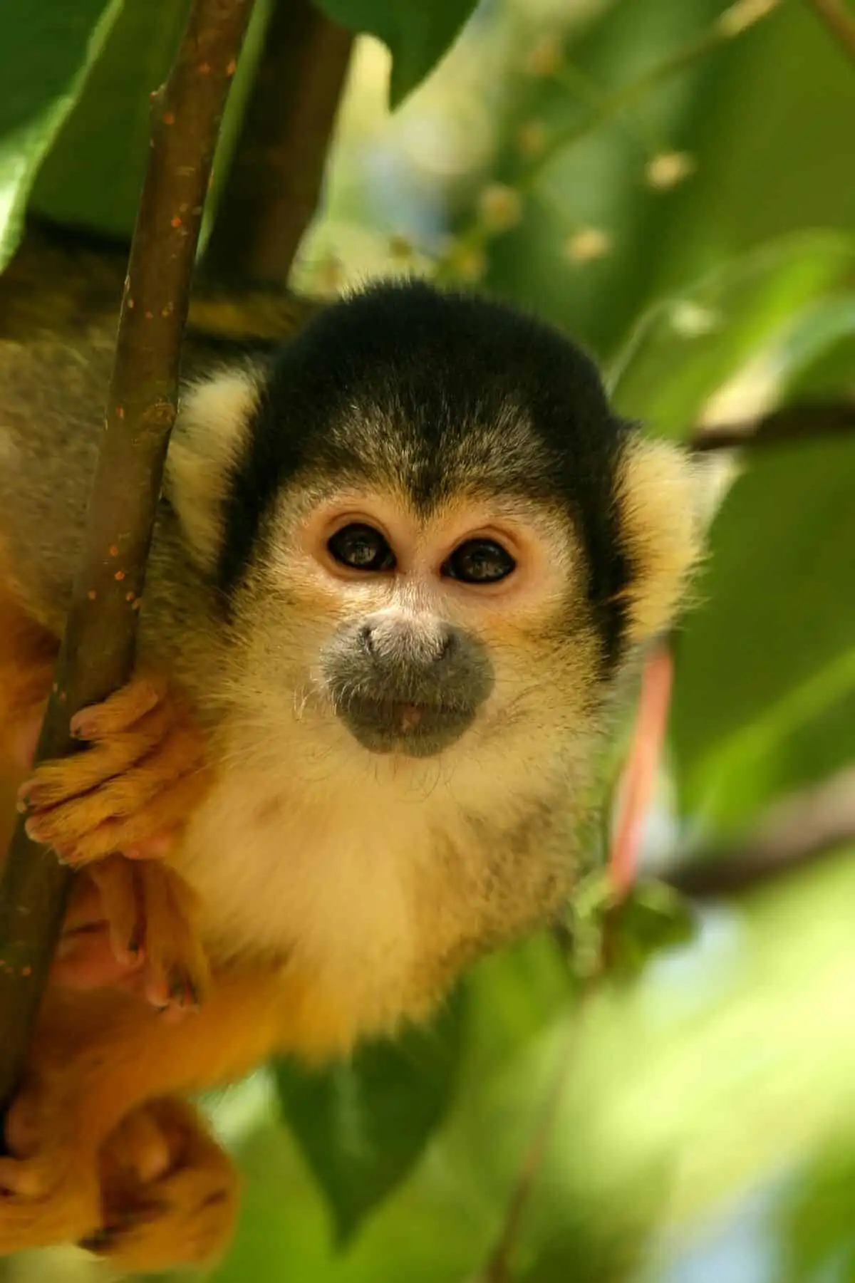 A Different Costa Rica