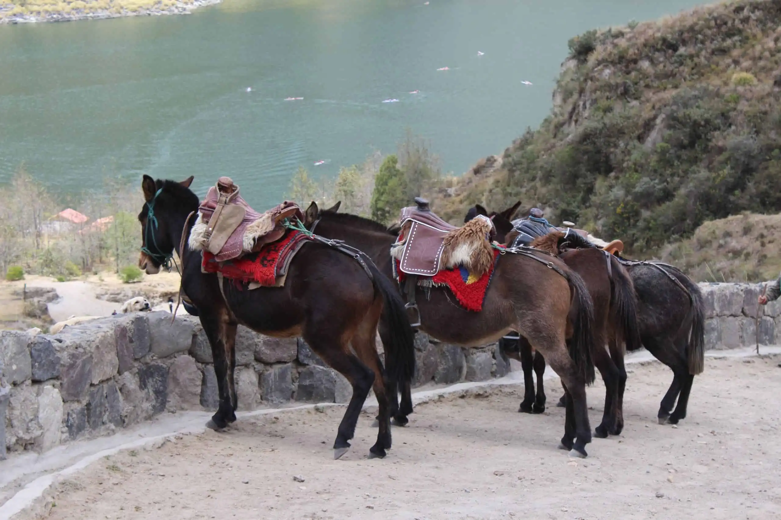 Gay Group Trip: Ecuador Adventure