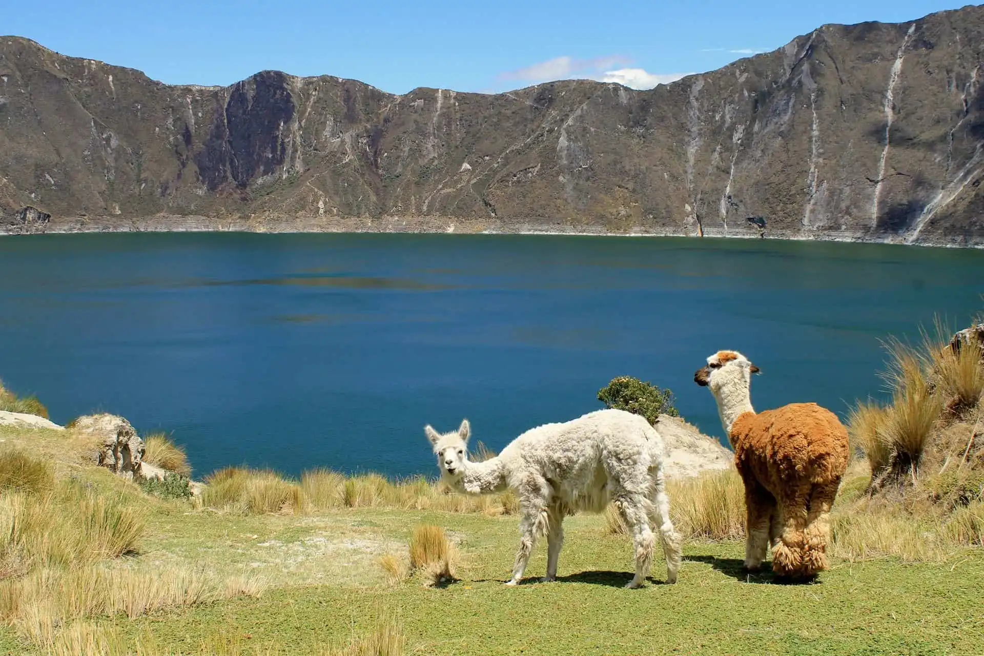 Gay Group Trip: Ecuador Adventure
