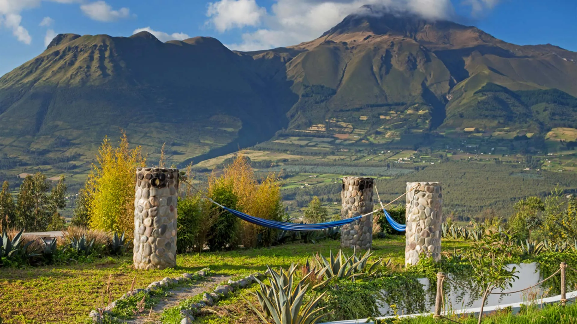 Optional Add On: The Andes