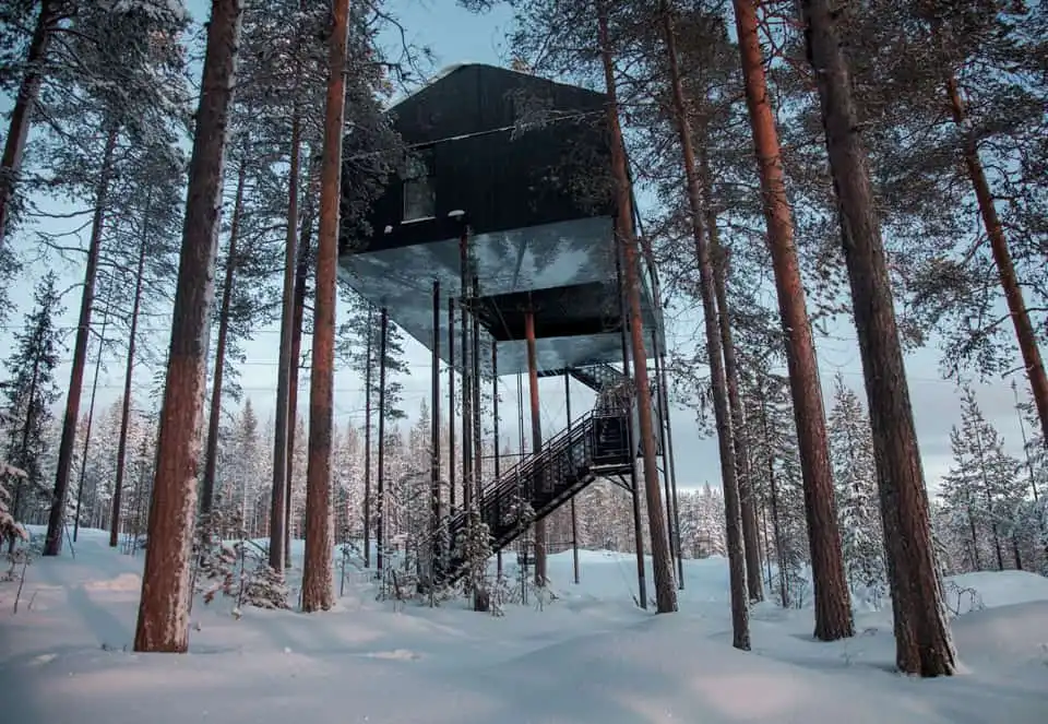 Day 6: Treehotel