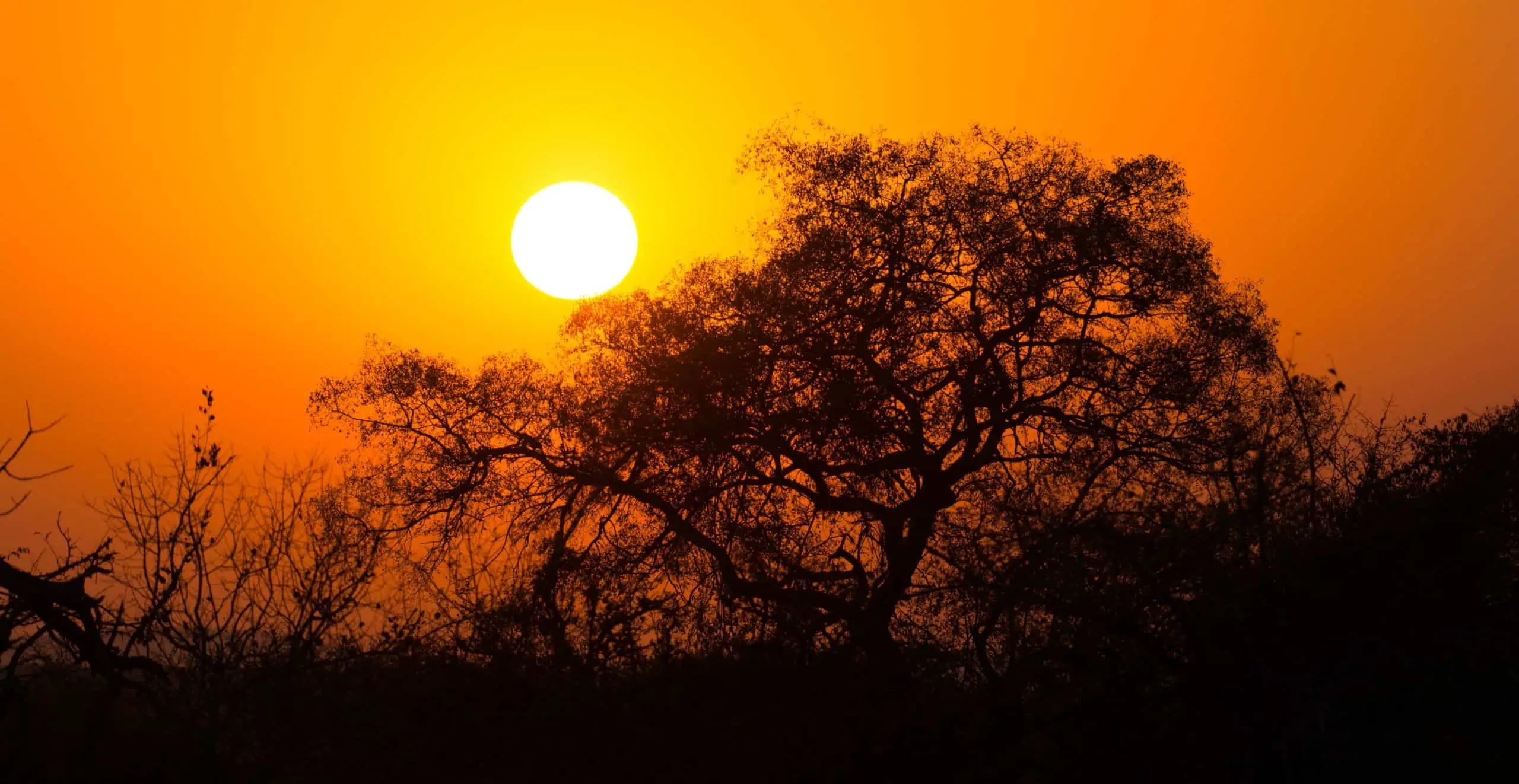 South African Garden Route and Safari