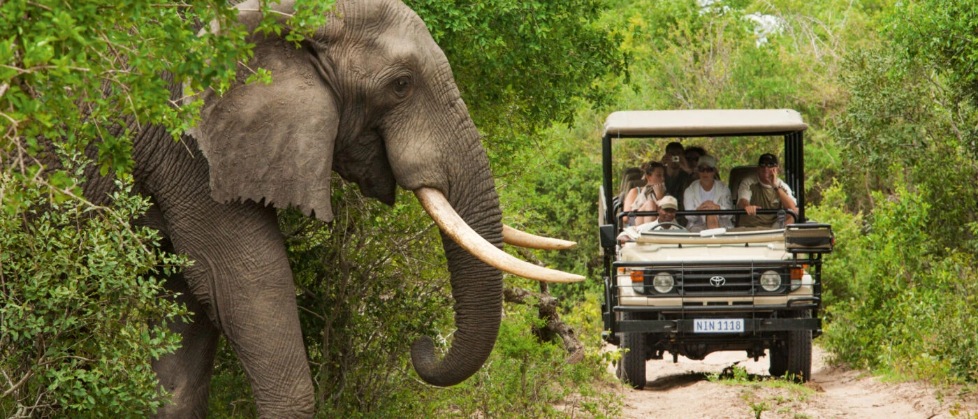 Safari Lodges (South Africa, Kenya, Tanzania)