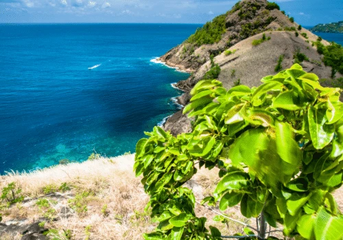 St Lucia
