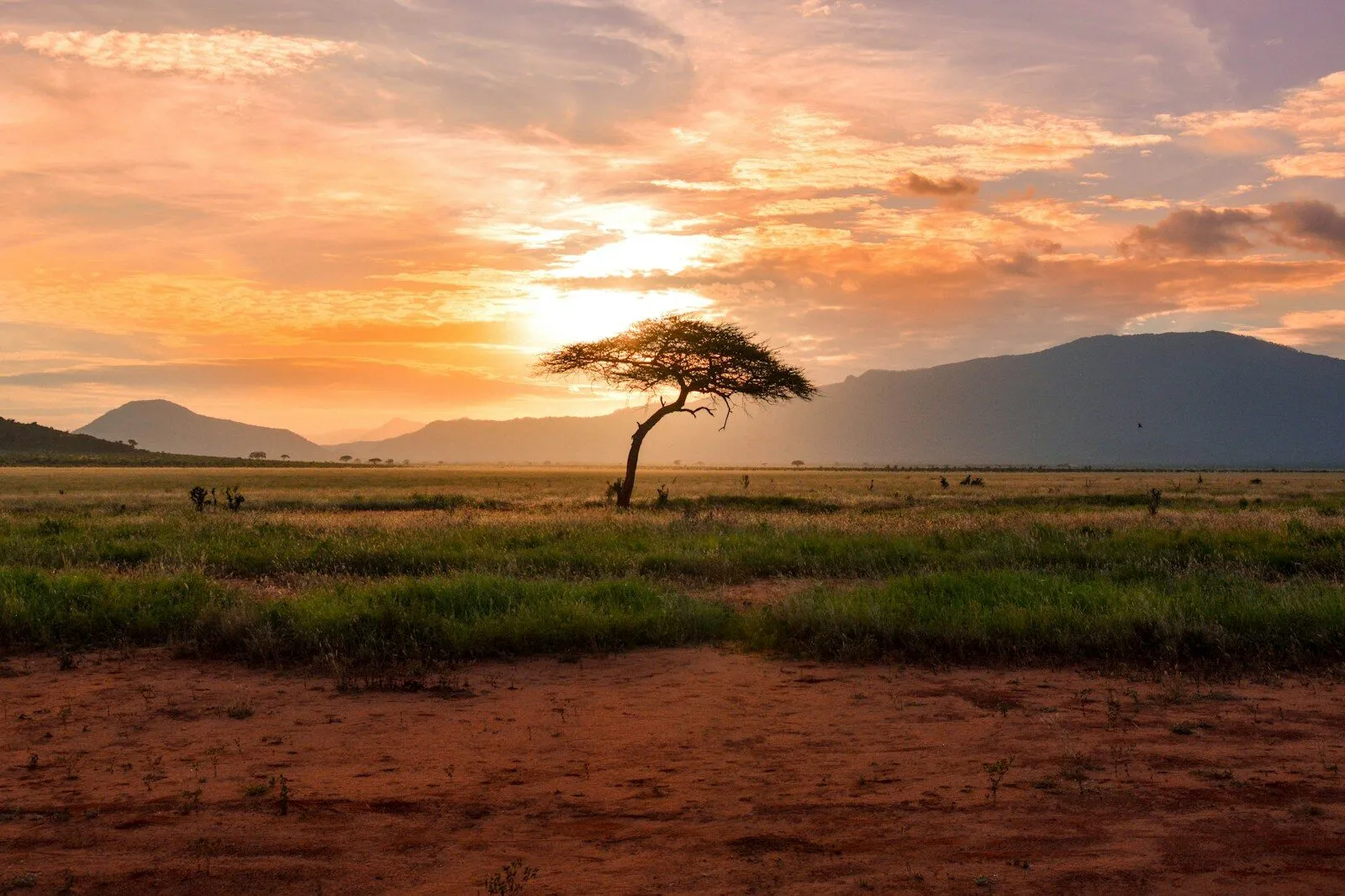 Africa: Cape Town to Botswana Safari