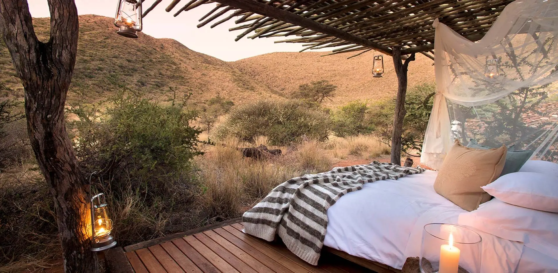 A Different Kind of Safari: Kruger Wildlife and Kalahari