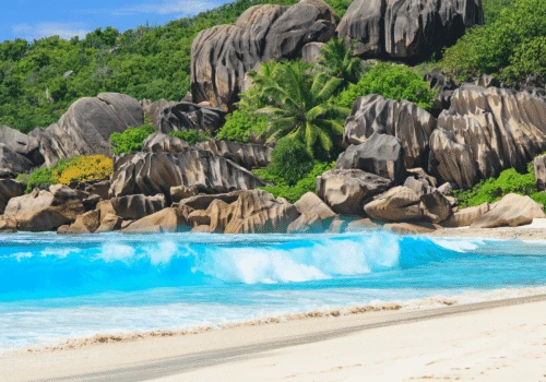 The Seychelles
