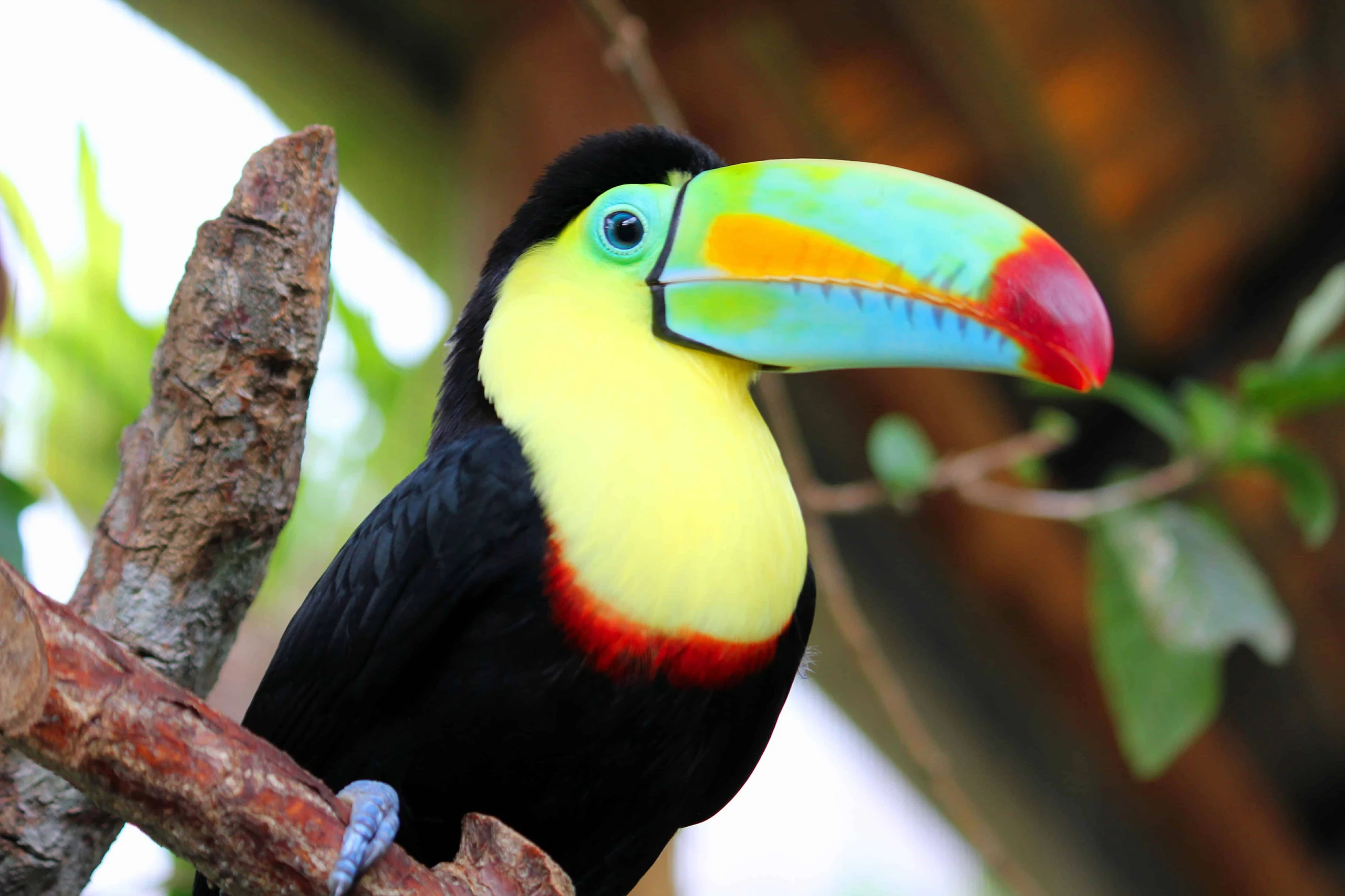 Costa Rica