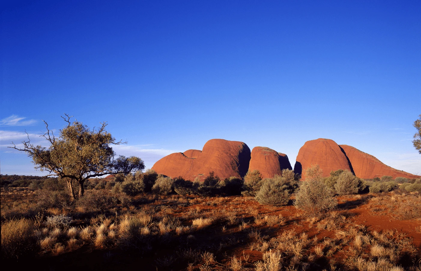 Uluru