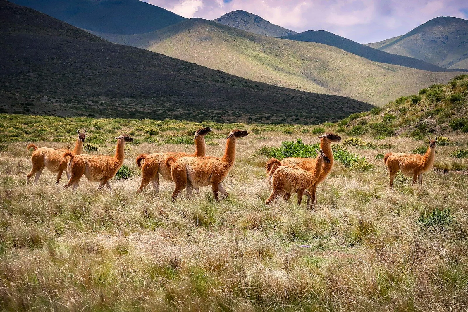 Northern Argentina: Salta, Jujuy & the Andes