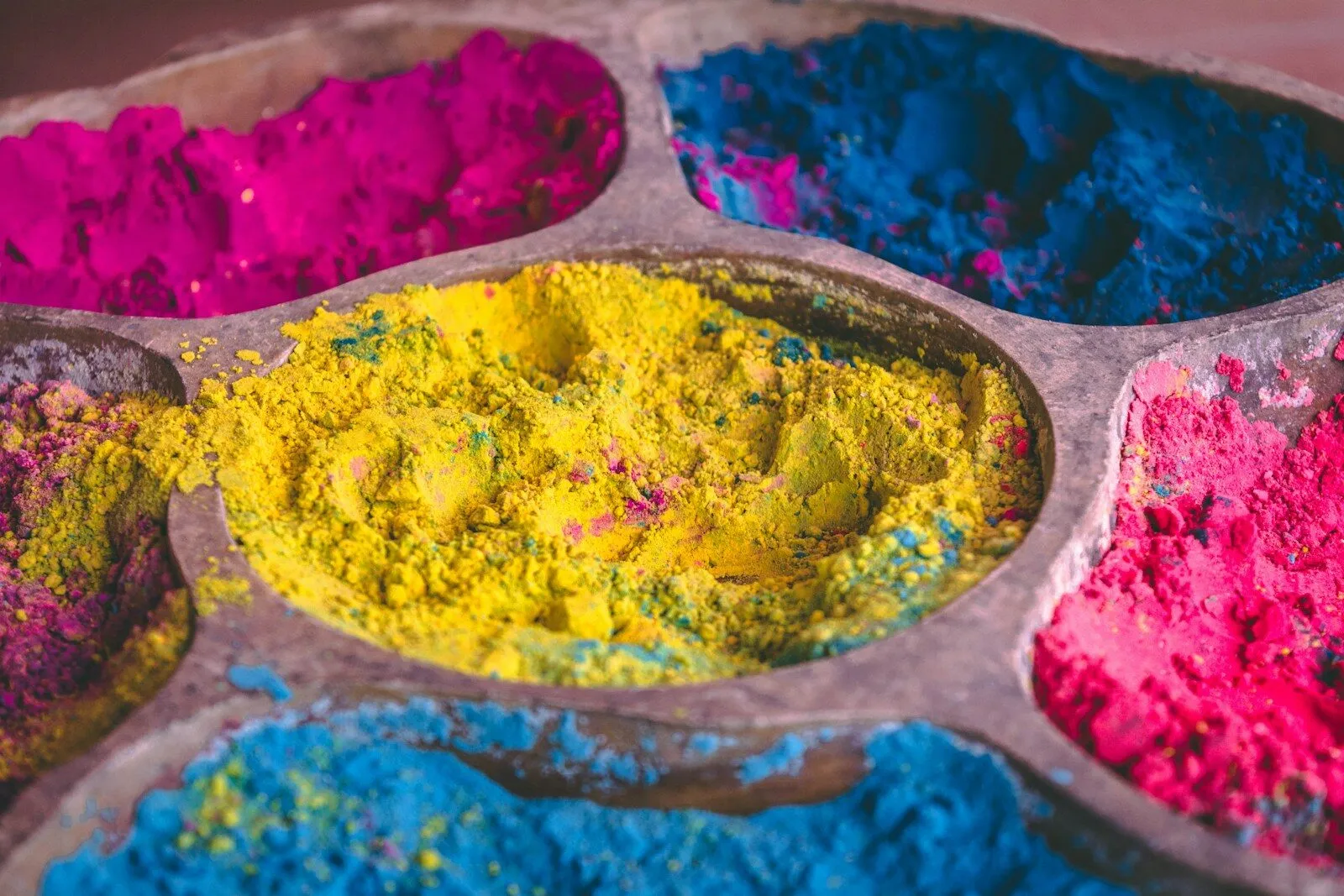 Gay Group Trip: India and the Holi Festival