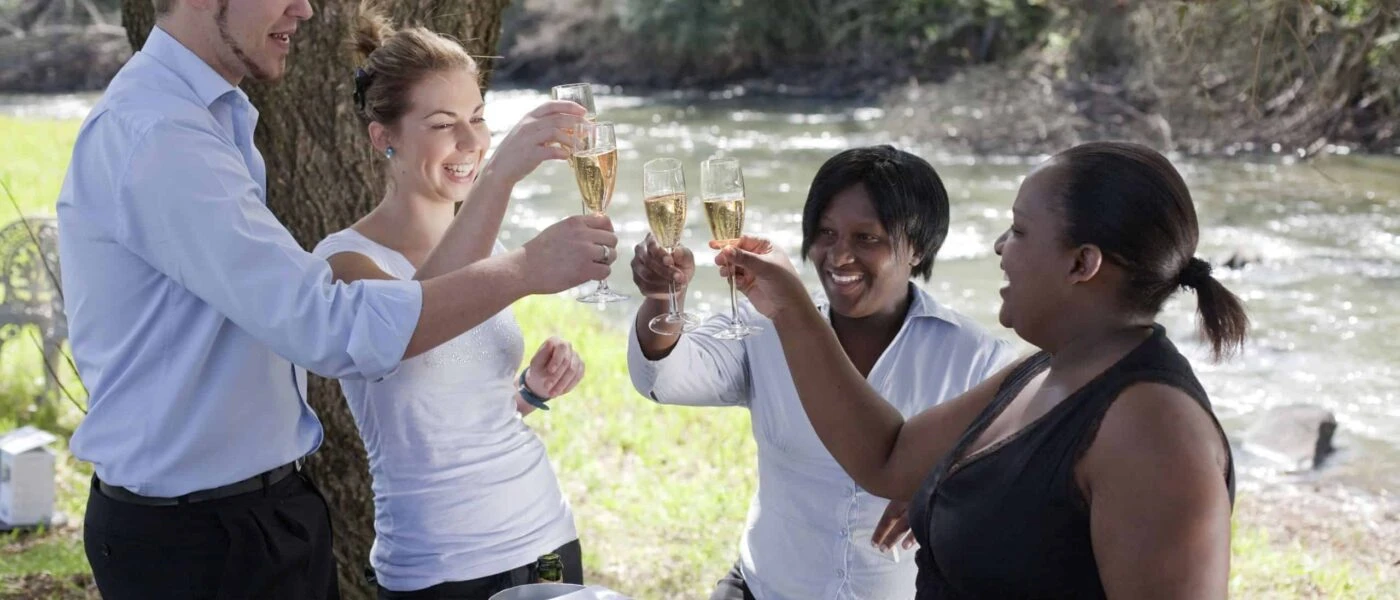 South African Winelands