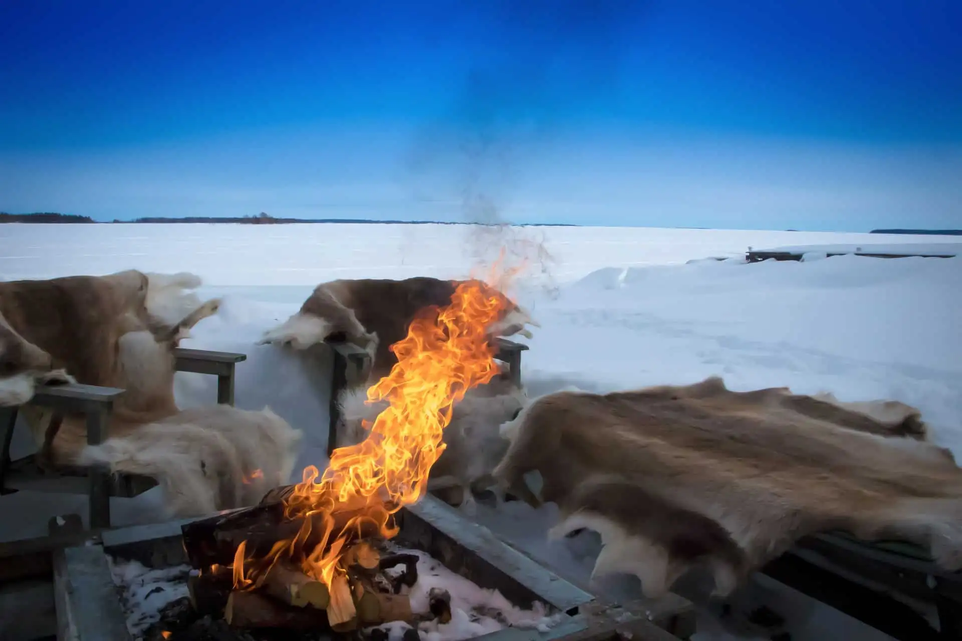 Arctic Sweden Luxury Tour: Treehotel, Lapland & Stockholm
