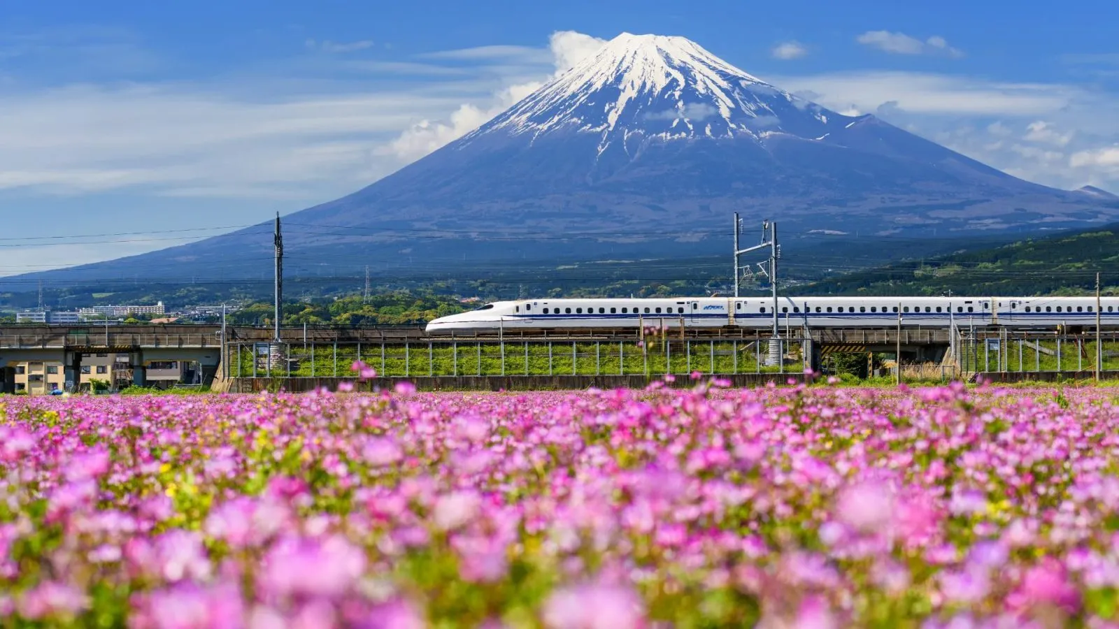China & Japan by Bullet Train: Beijing, Kyoto & Tokyo