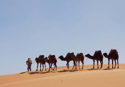 LGBT Group Trip: Morocco Magic And Mystery