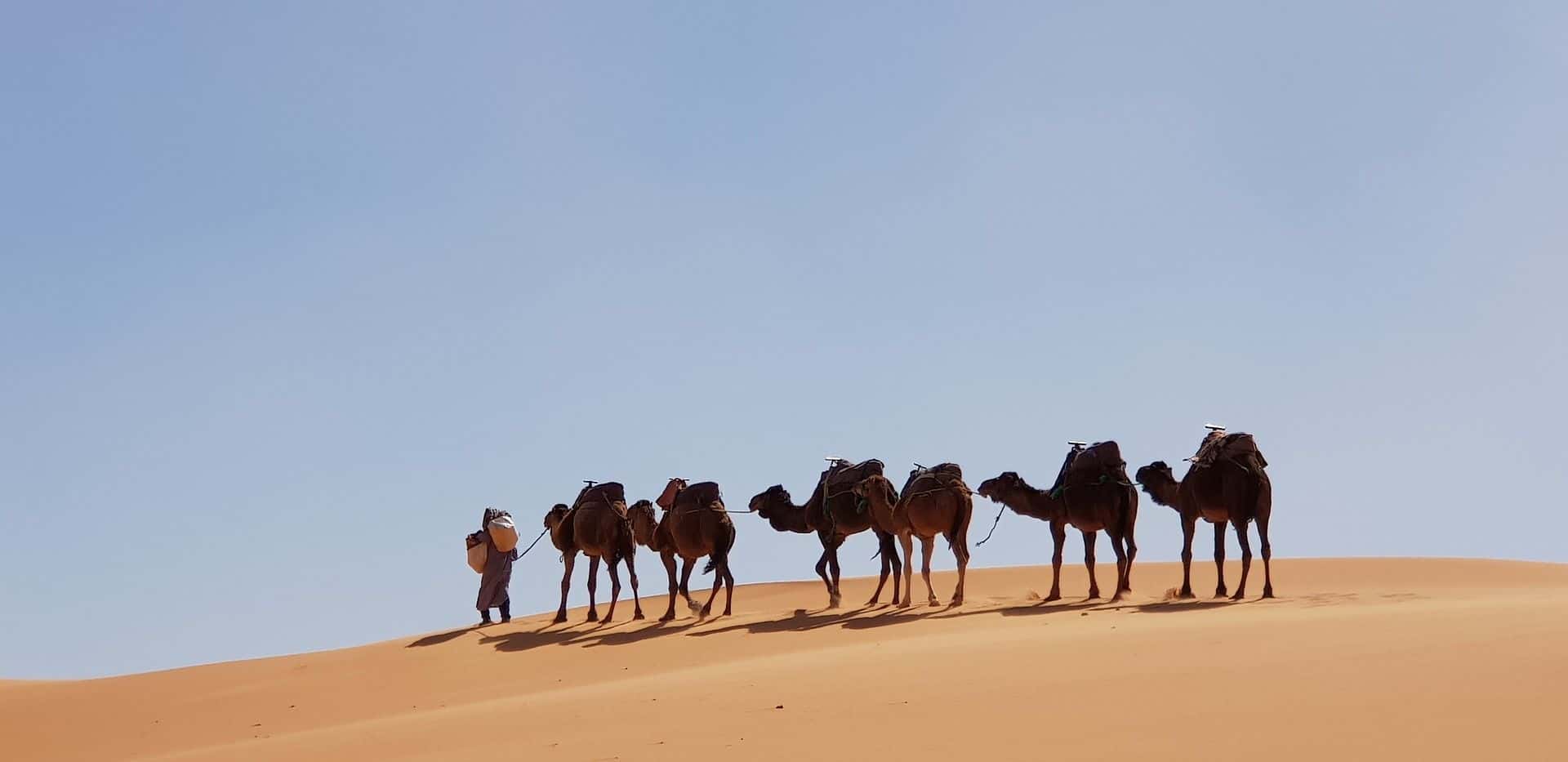 LGBT Group Trip: Morocco Magic And Mystery