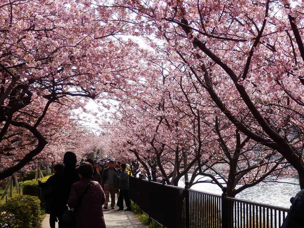 Japan