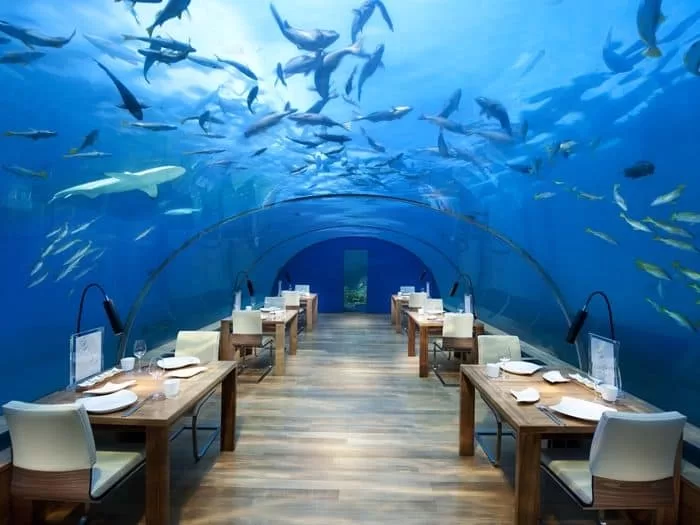Ithaa Undersea Market