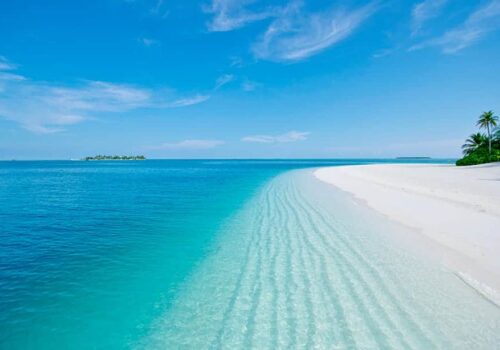 Symbolic Gay Wedding in the Maldives