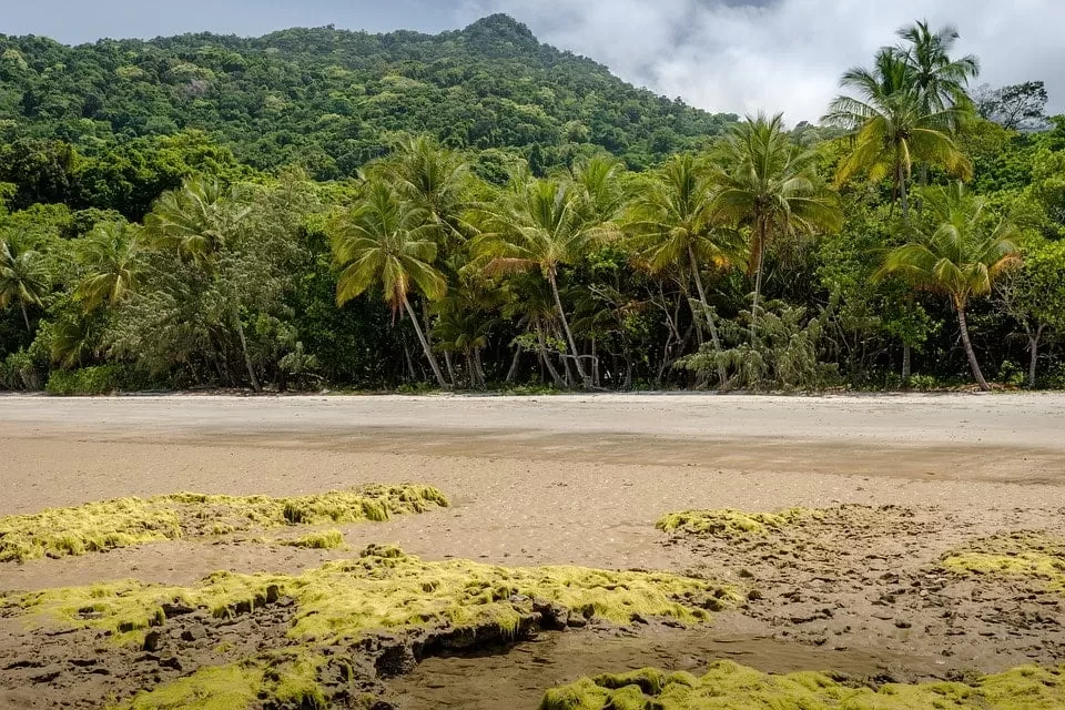 Day 6 - Daintree Rainforest 