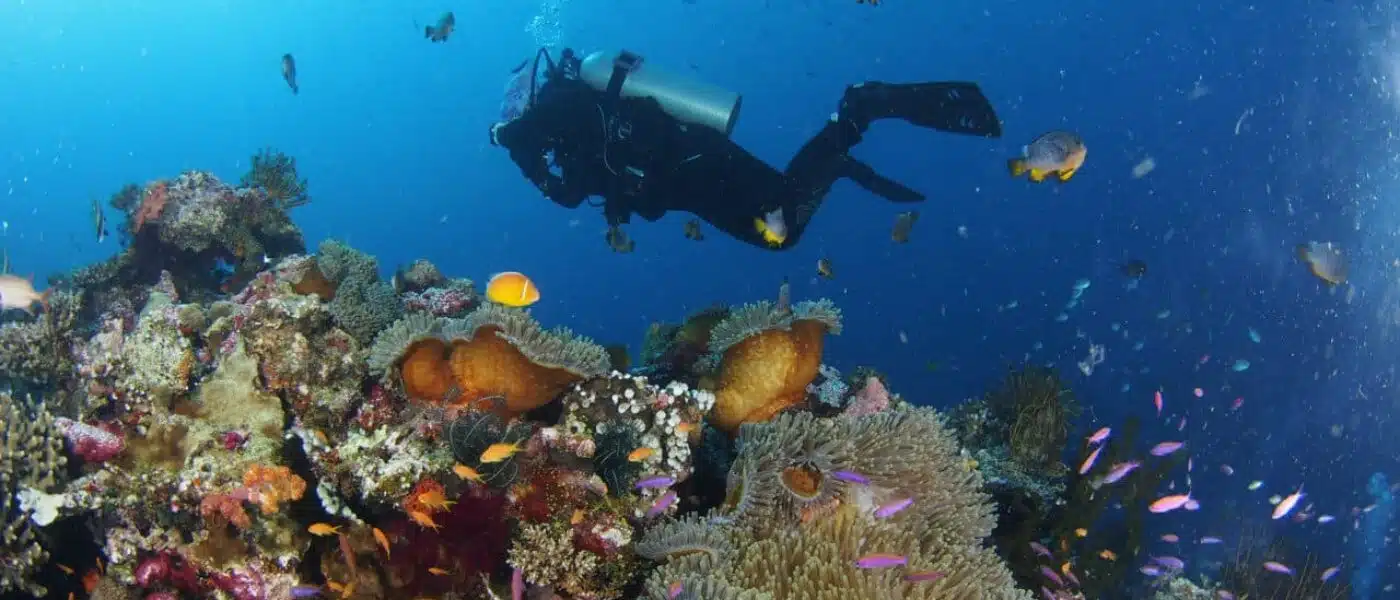 Private dive boat on calm water off Taveuni