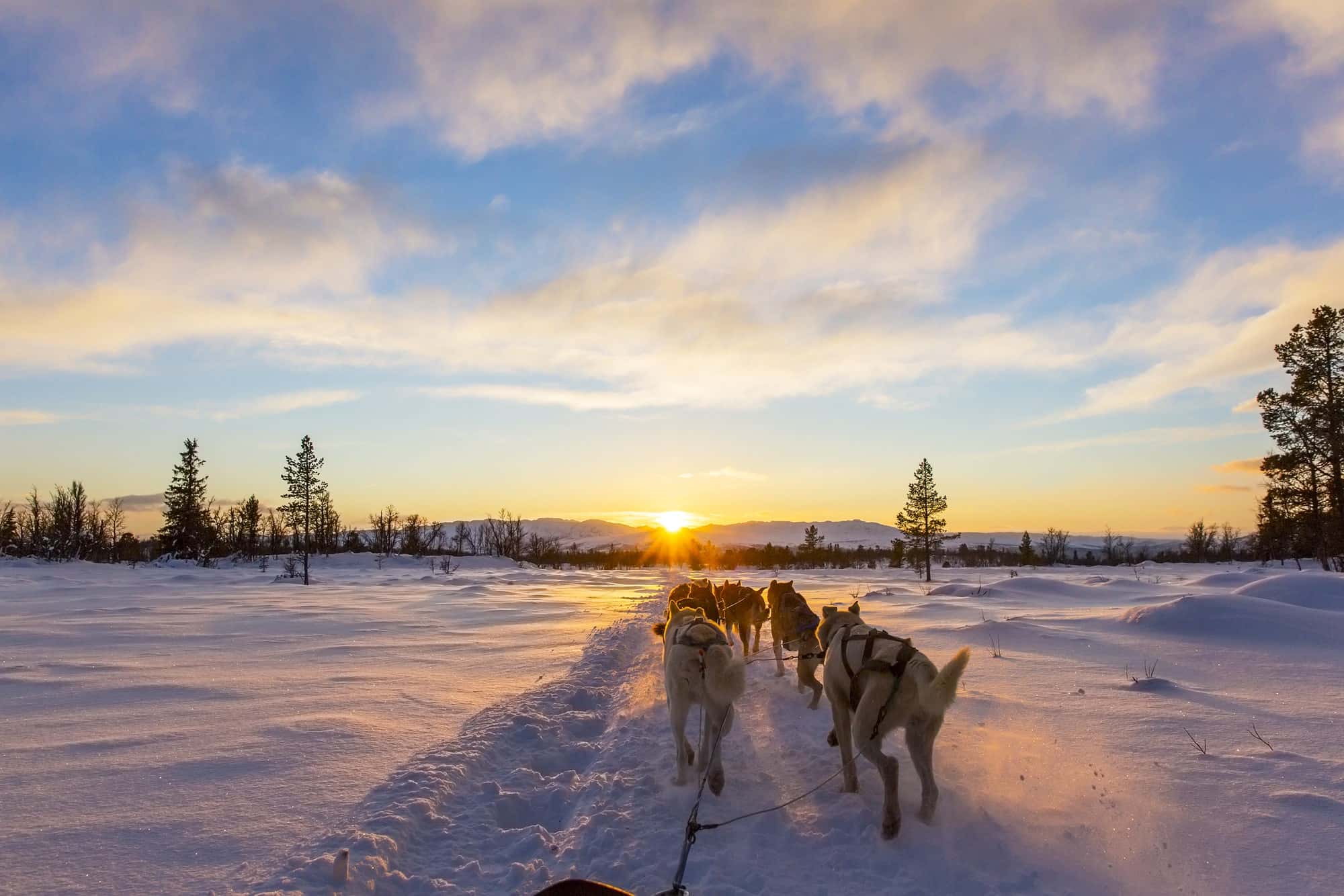 Day 3: The Snowmobile Safari