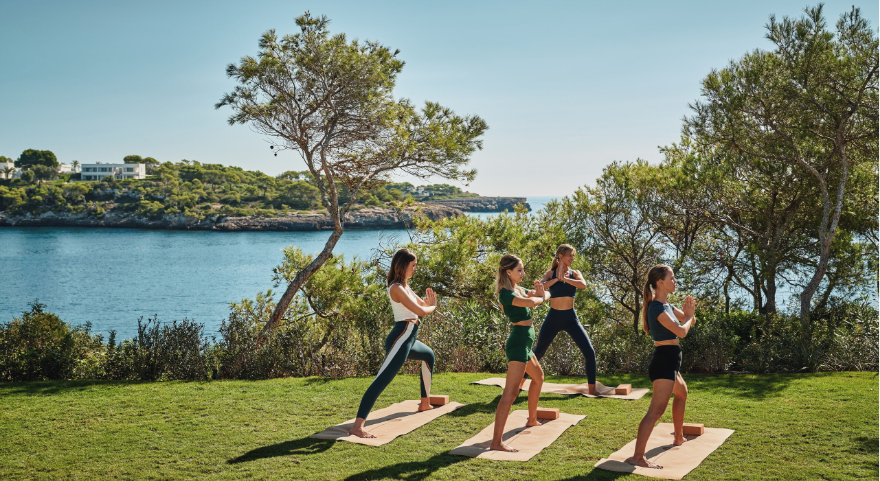 Wellness
