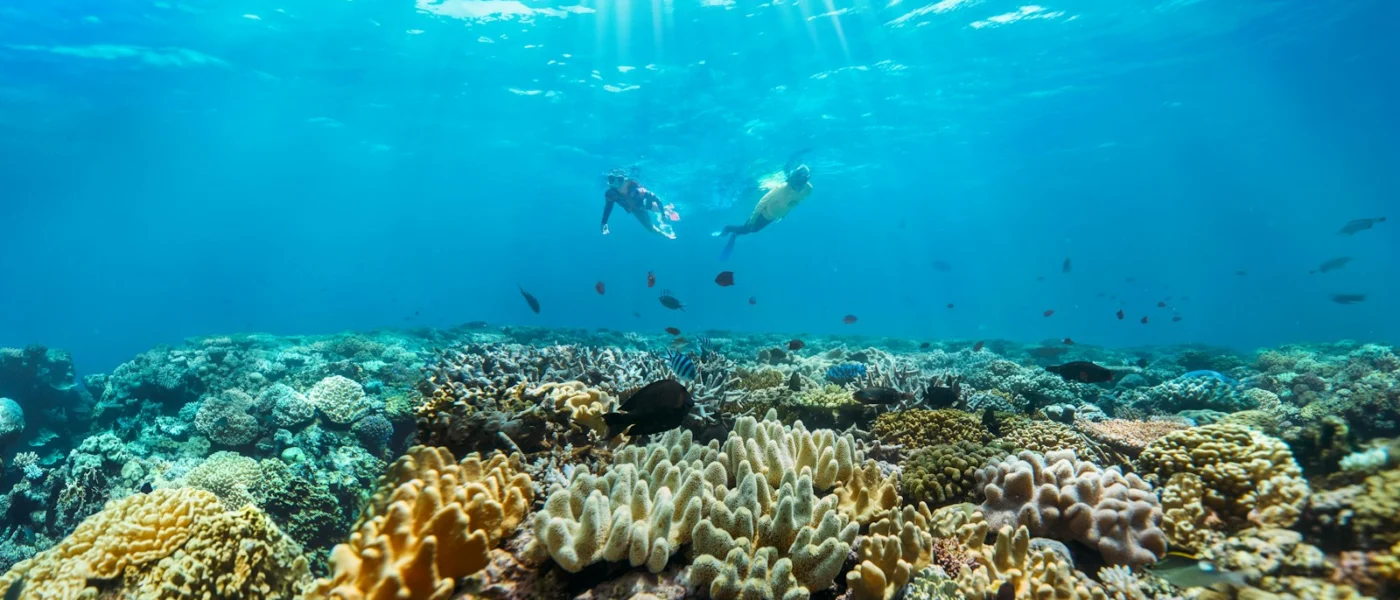 Two people snorkelling over a vibrant coral reef in clear blue ocean water