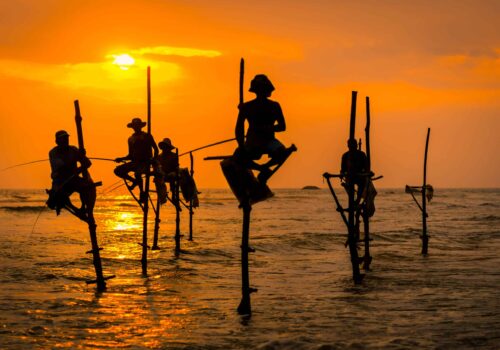 Sri Lanka and the Maldives