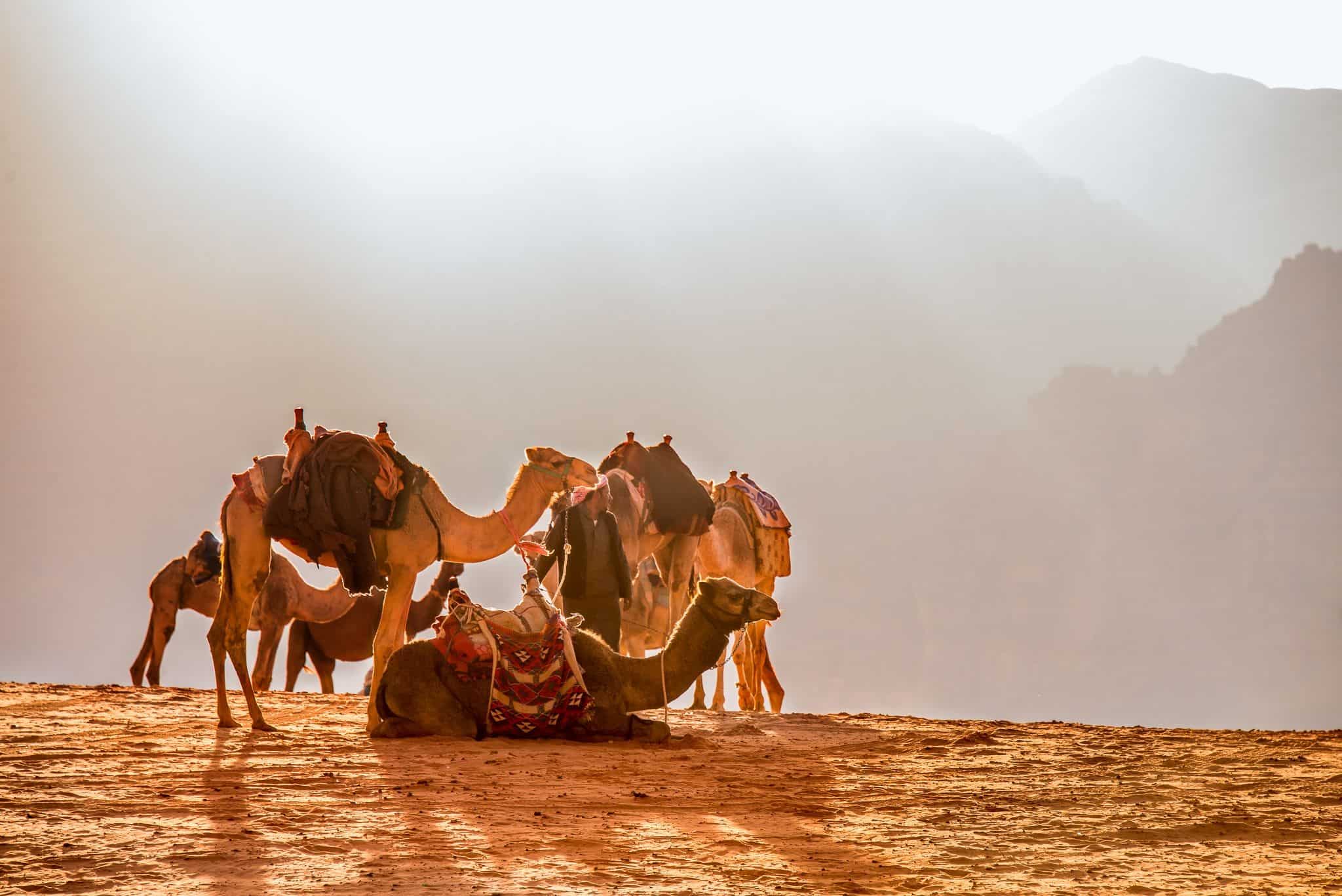 Gay Group Trip: Wadi Rum & Petra