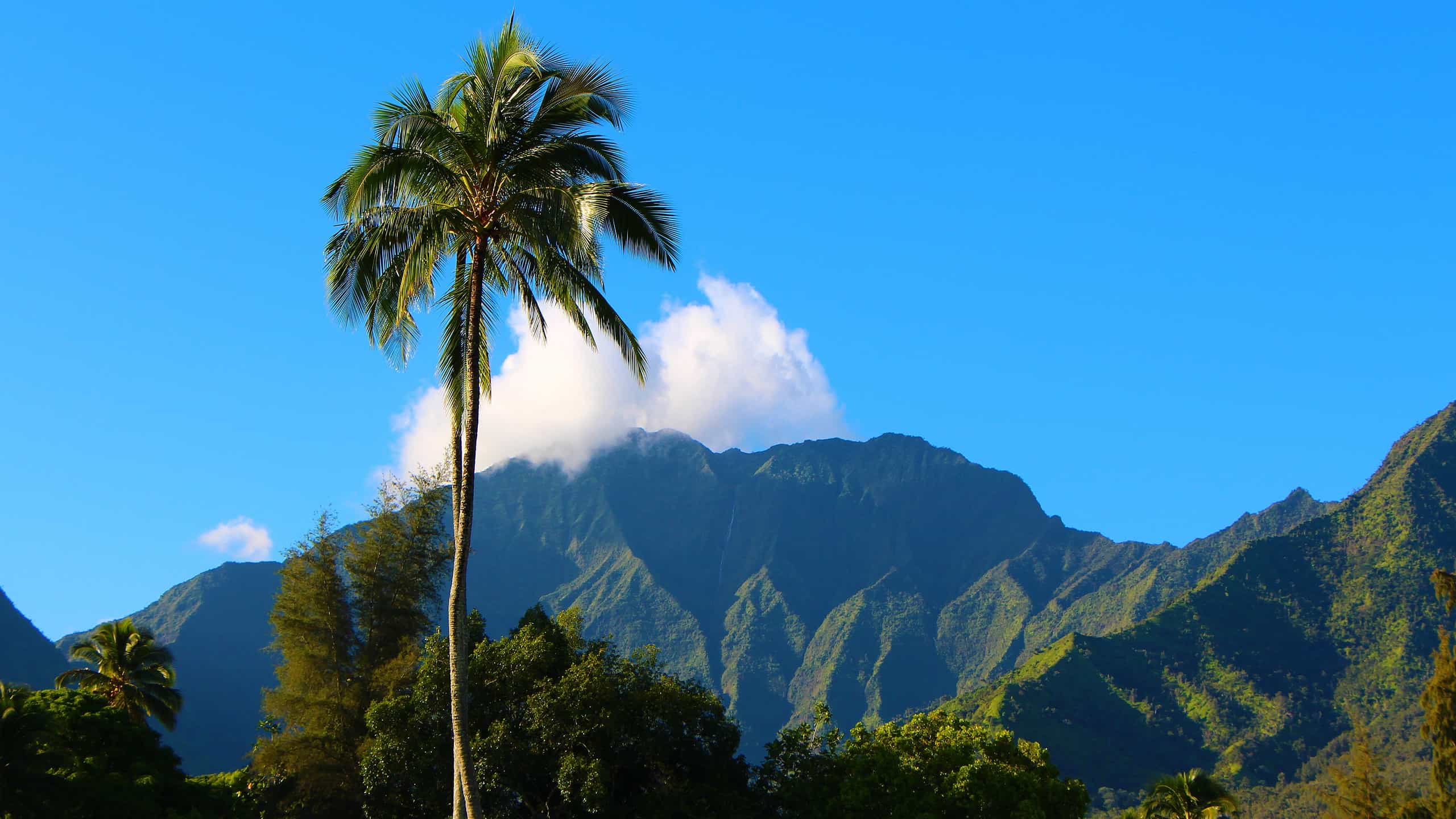 Luxury Hawaii Island Hopping