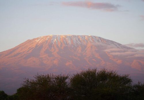 LGBT Group Trip: Tanzania Safari