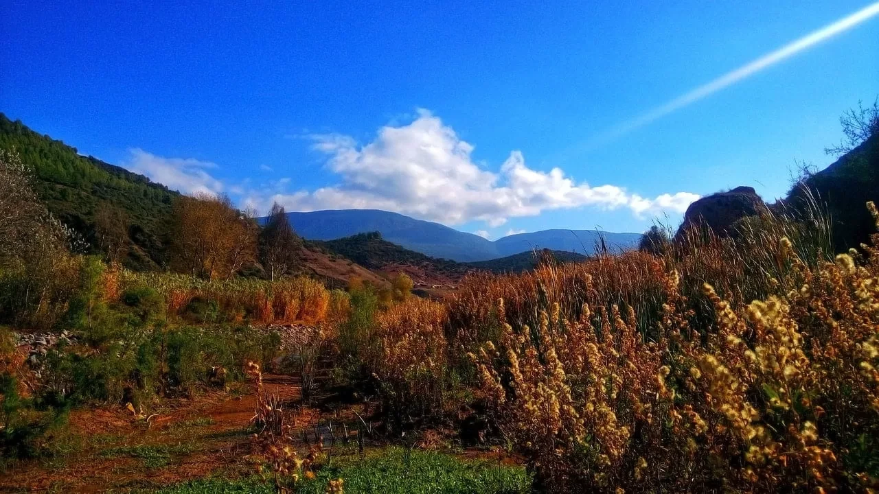 Day 10: Atlas Mountains
