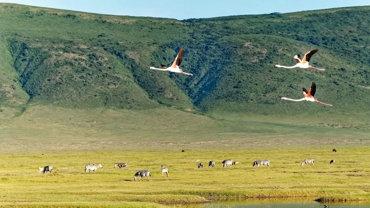 Day 5 – Ngorongoro Crater
