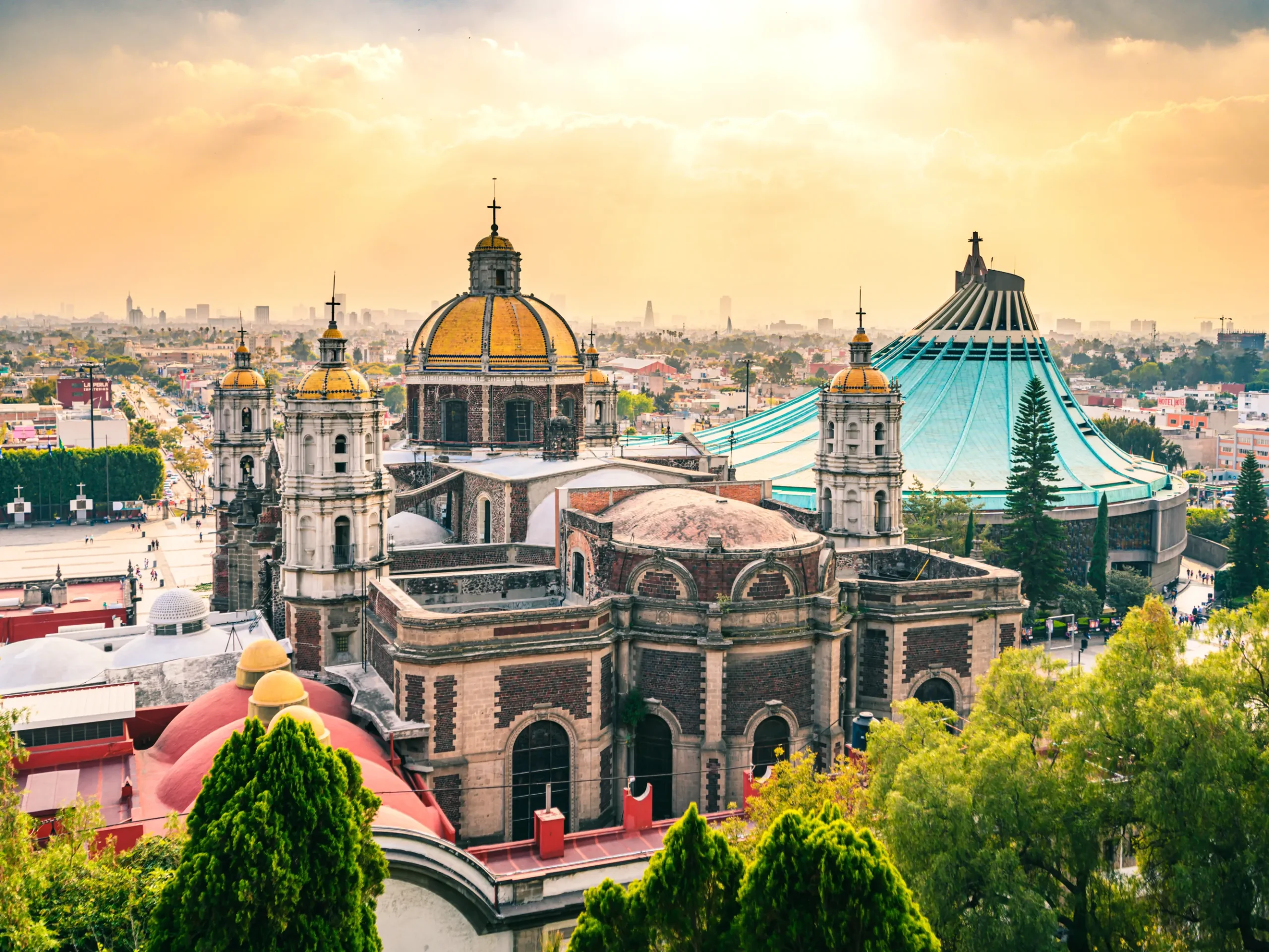 Art & Culture in Mexico City: Luxury Discovery Tour
