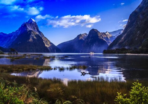 Gay Group Trip: New Zealand Adventure