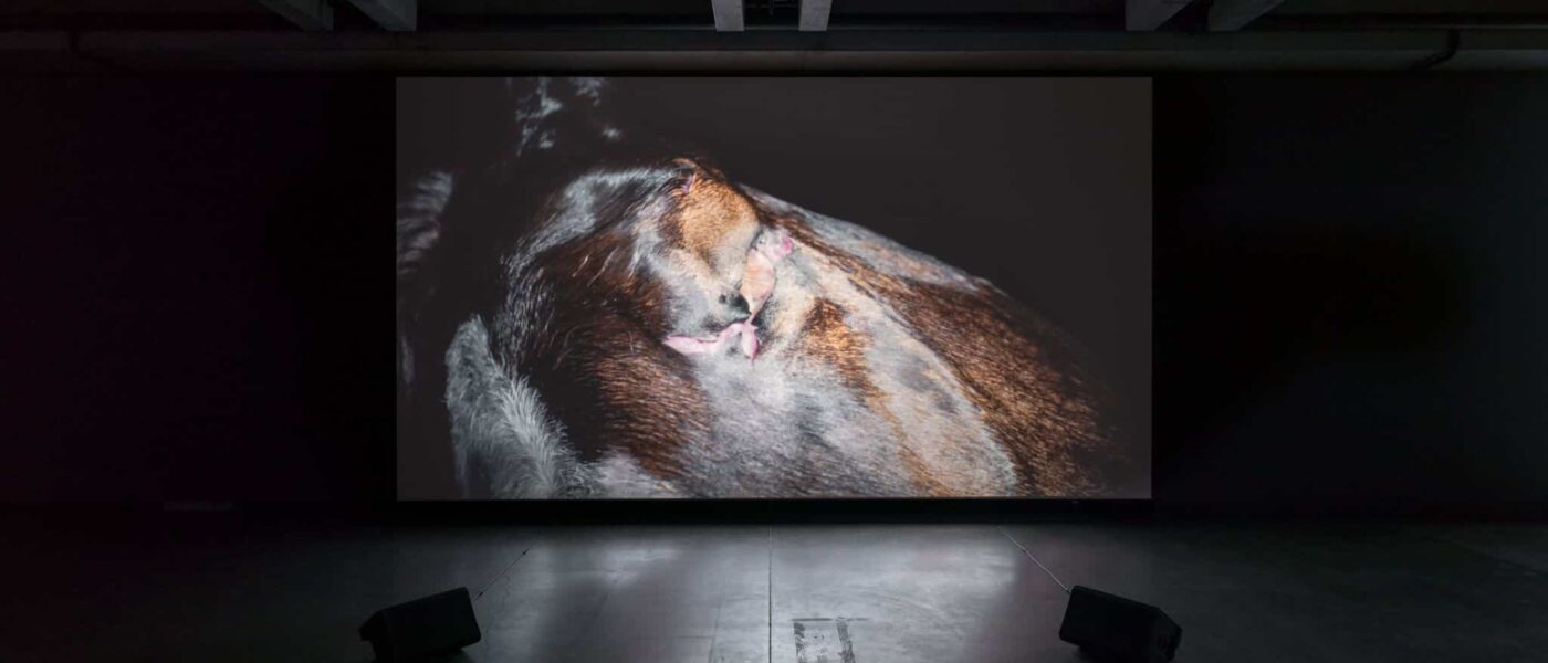 Works on display at MONA in Hobart