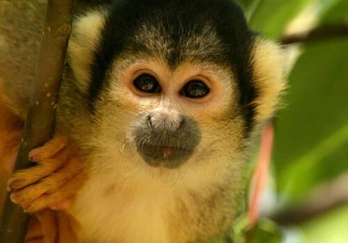 A Different Costa Rica